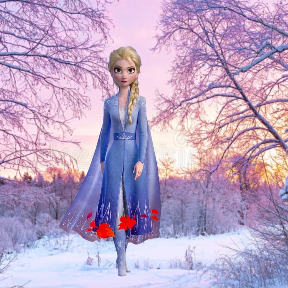 Disney's FROZEN II Elsa Fashion Doll 12" Hasbro - Picture 10 of 10